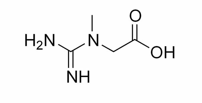 creatine monohydrate formula